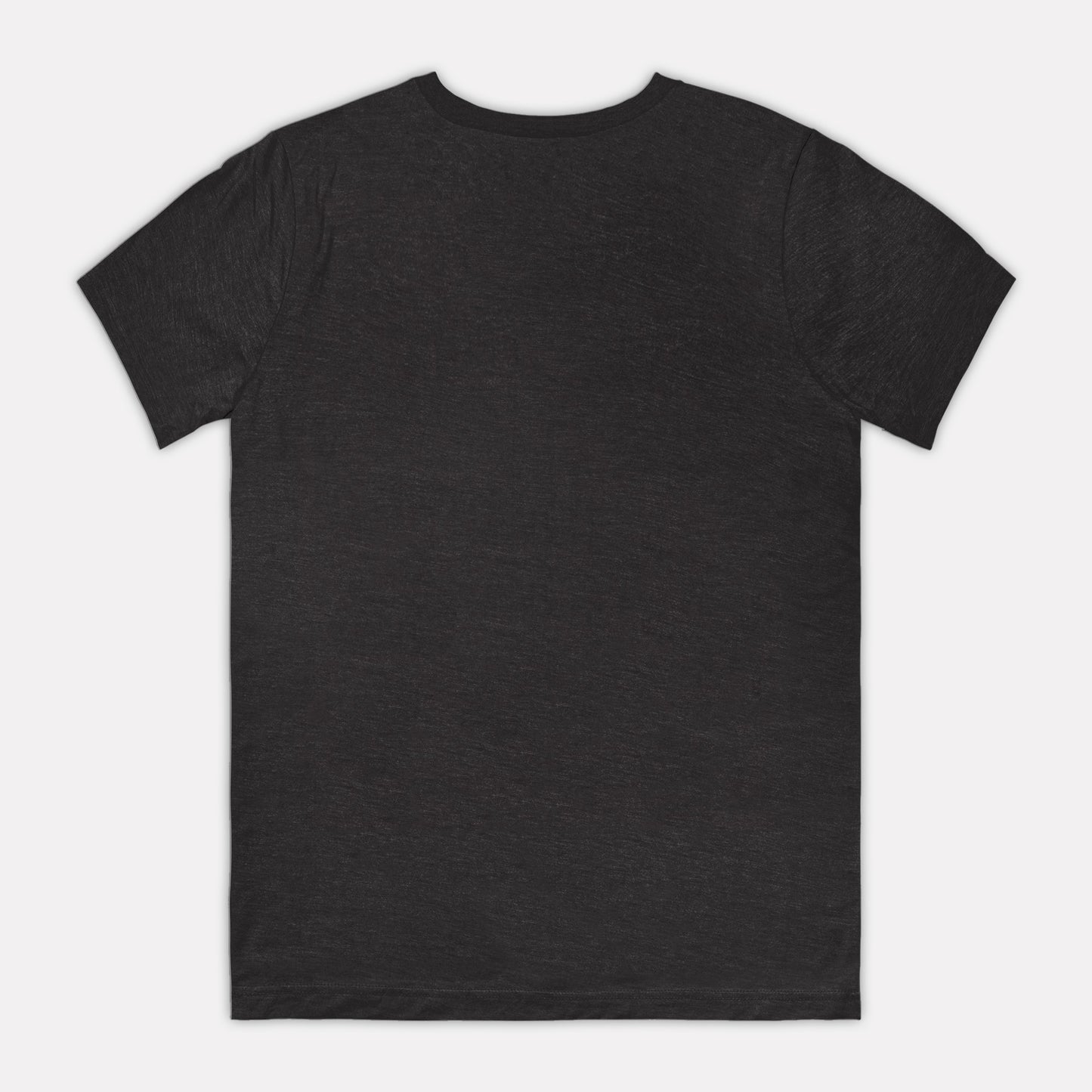 Dragoon Springs Butterfield Stagestop Tee Dark Color
