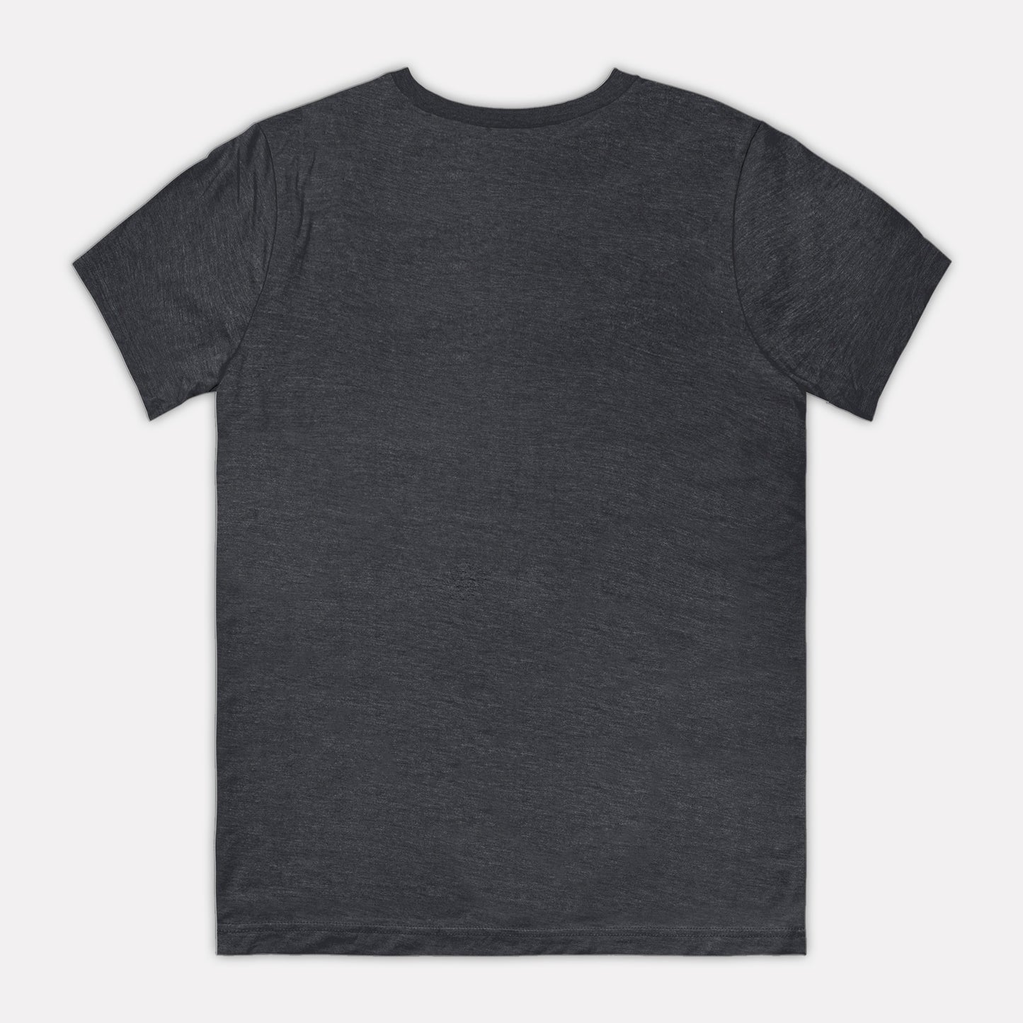 Dragoon Springs Butterfield Stagestop Tee Dark Color